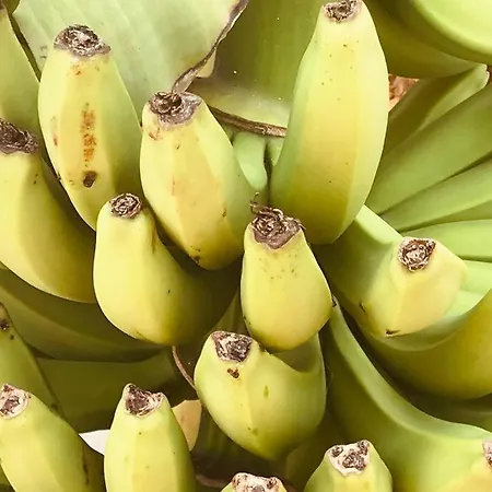 Appartement Loft In *